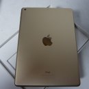 Apple iPad Wi-Fi 32 GB Gold 24,6 cm (9.7 Zoll) Tablet - Cortex 1,85 GHz 24,6cm-Display