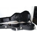 GWW Bass Koffer Modell DGB-DBass Case