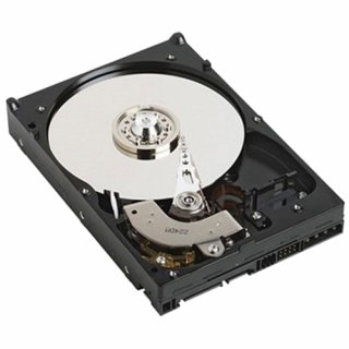 Dell Festplatte - 1 TB - intern - 3.5" (8.9 cm)